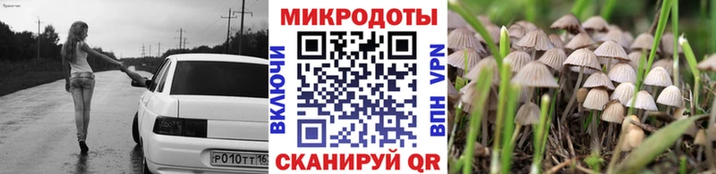 Псилоцибиновые грибы мухоморы блэк спрут вход Мегион