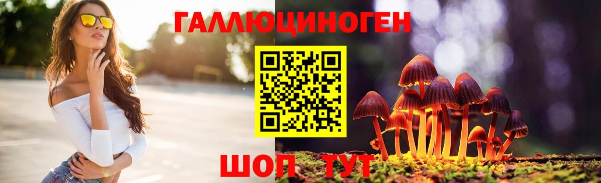 Псилоцибиновые грибы Psilocybe Мегион