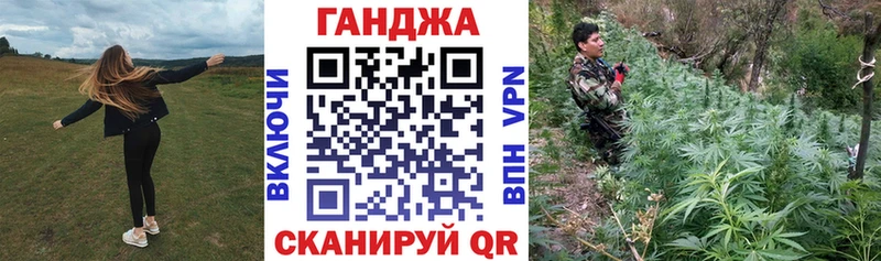 Конопля сатива Мегион